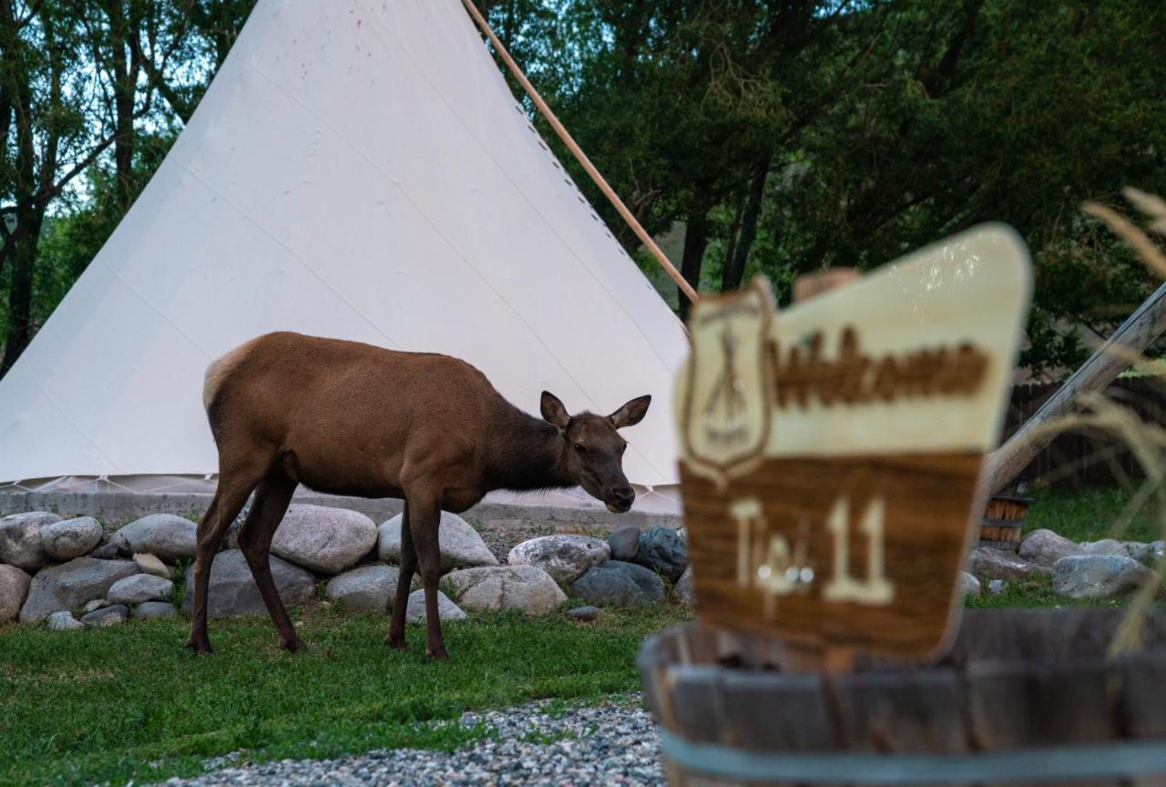 Dreamcatcher Tipi Hotel Gardiner Exterior foto